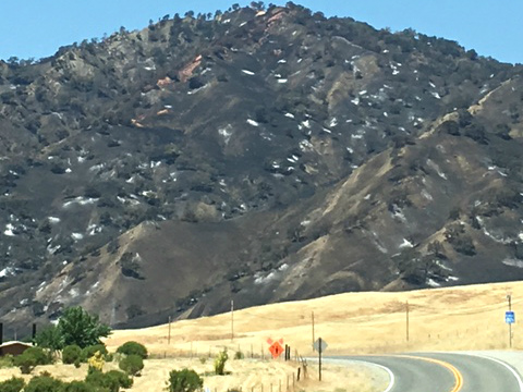 A scorched hillside in the wake of the Cold Fire burning in Yolo County, near Winters, on August 7, 2016.